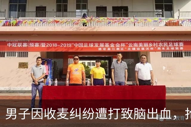 男子因收麦纠纷遭打致脑出血，抢救无效去世